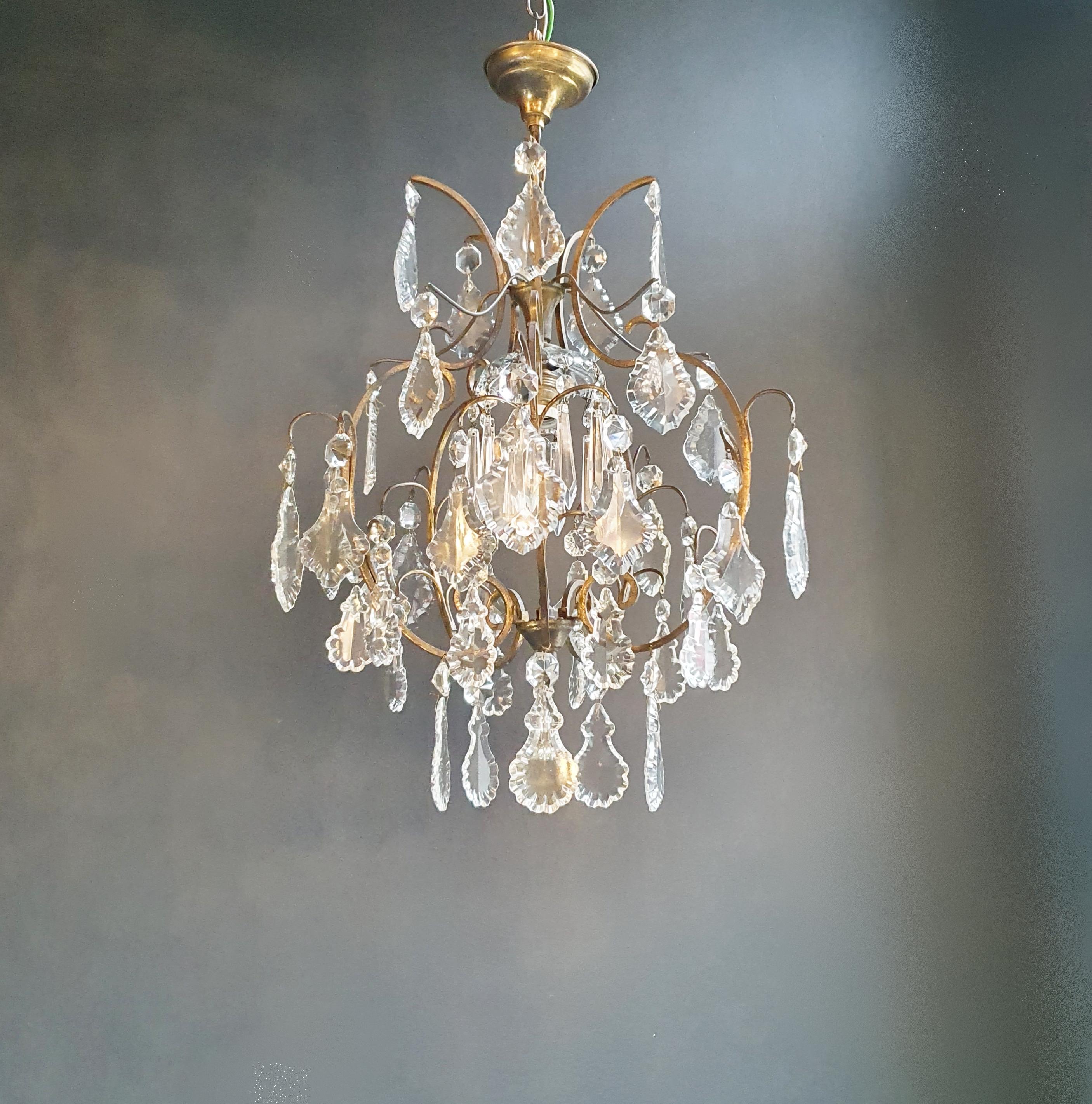 Restored Vintage Chandelier: A Testament to Craftsmanship and Timeless Beauty

Step into the world of elegance and nostalgia with this antique chandelier, meticulously restored in Berlin with utmost care and professionalism. Its electrical wiring