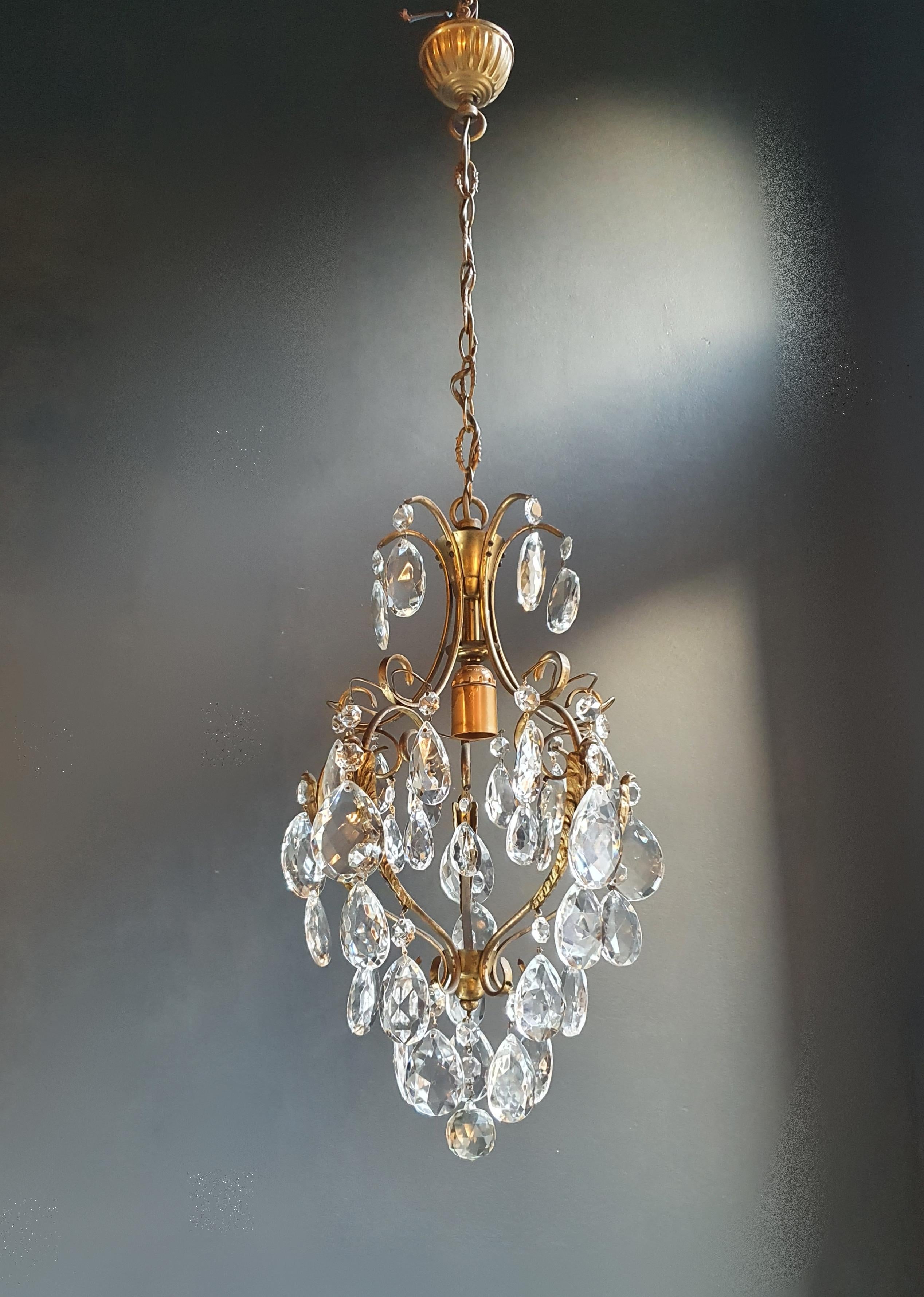 Hand-Knotted Lustré Cage Chandelier Crystal Ceiling Lamp Hall Lustre Antique Art Nouveau