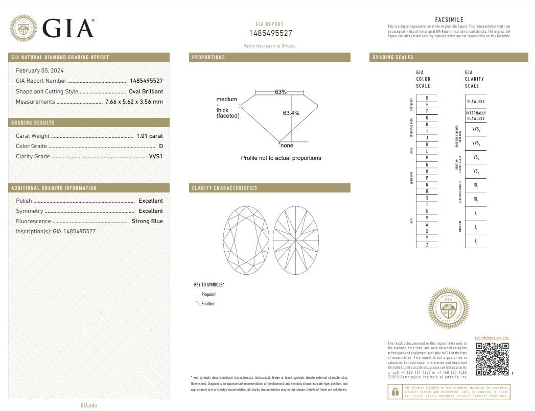 Leuchtend 1,41 Karat Doppelter ausgezeichneter Idealschliff Diamanten Halo-Ring aus 18 Karat Weißgold Damen im Angebot