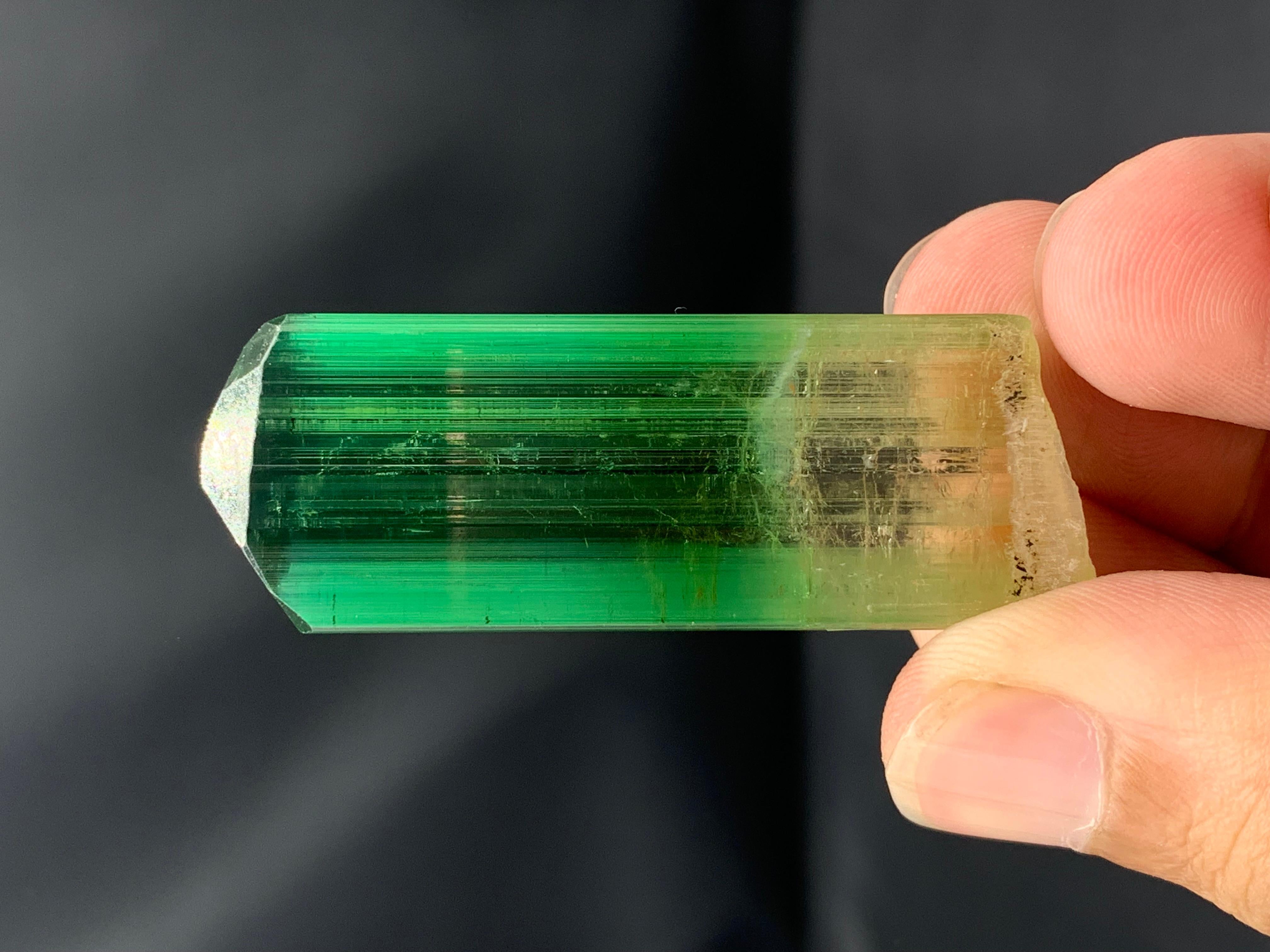 Cristallo raro di tormalina bicolore dall'Afghanistan: 20,66 grammi di lucentezza in vendita 4