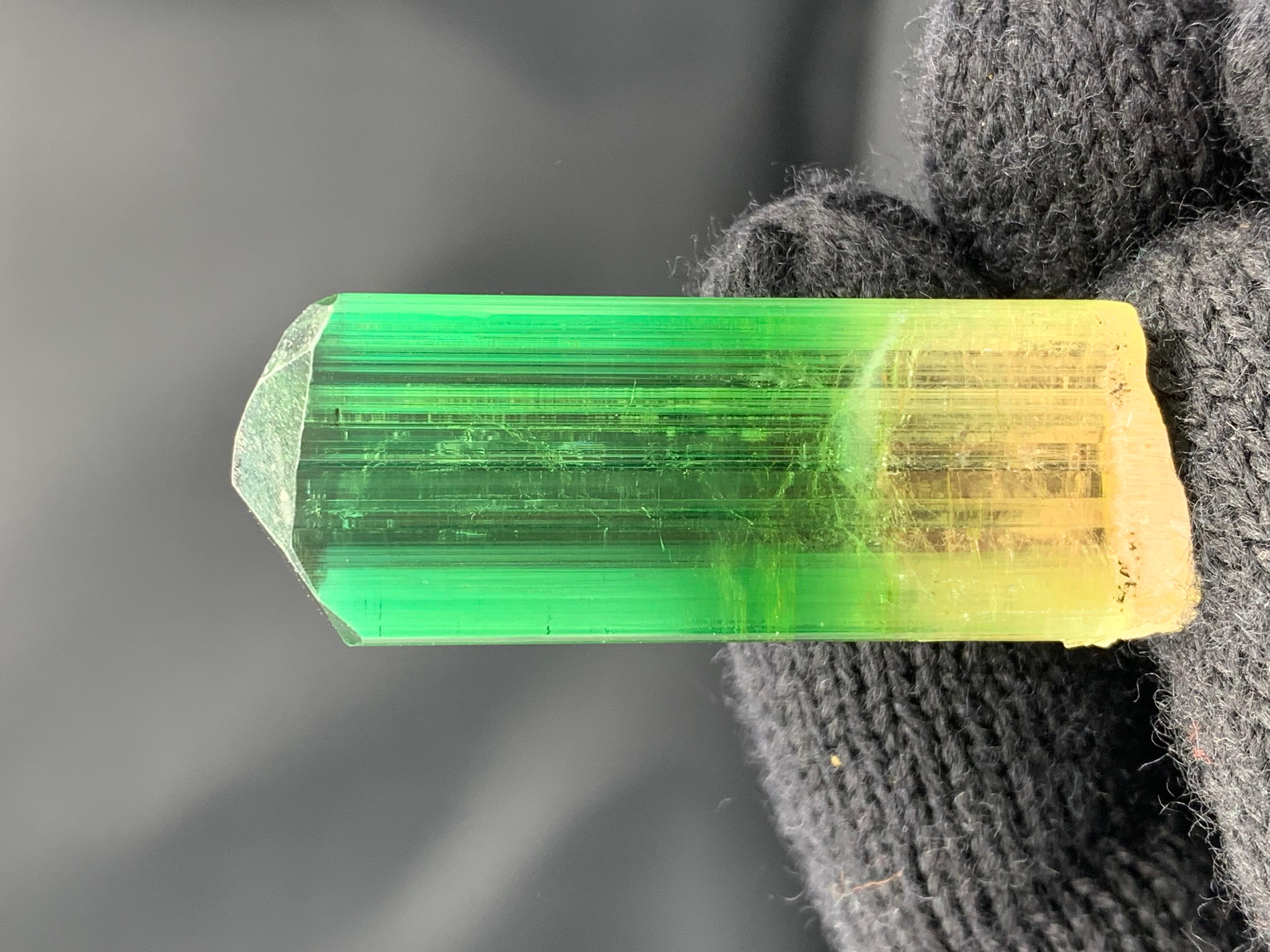 PRODUCT INFORMATION:

Specimen Type: Top Quality Lovely Bi Color Tourmaline Crystal
Weight: 20.66 Gram
Dimension: H: 5.2 x W: 1.8 x D: 0.9 Cm
Origin: Paprook Mine, Nuristan Province, Afghanistan
Treatment: None

DESCRIPTION: 

Presenting a stunning