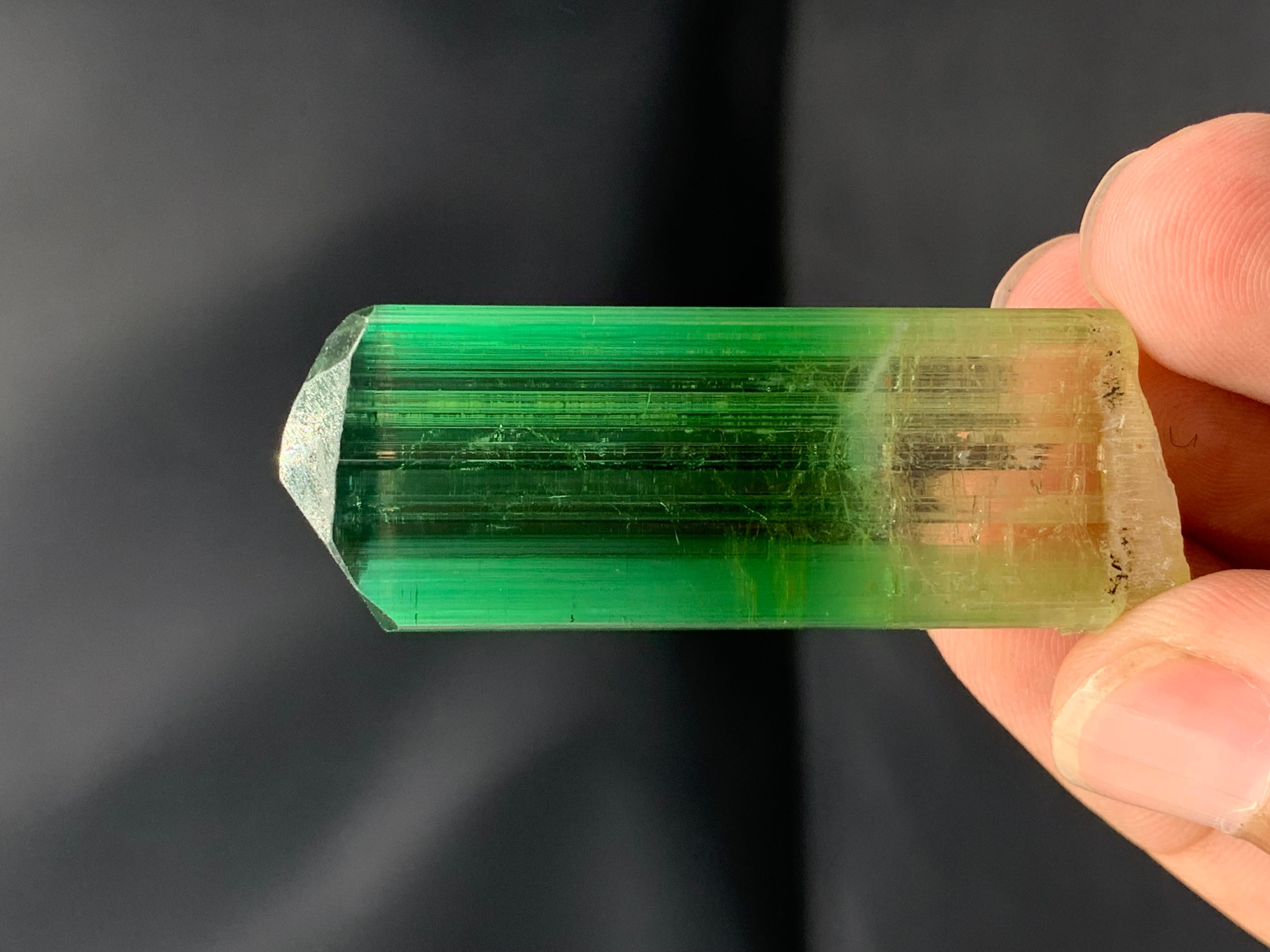 XXI secolo e contemporaneo Cristallo raro di tormalina bicolore dall'Afghanistan: 20,66 grammi di lucentezza in vendita