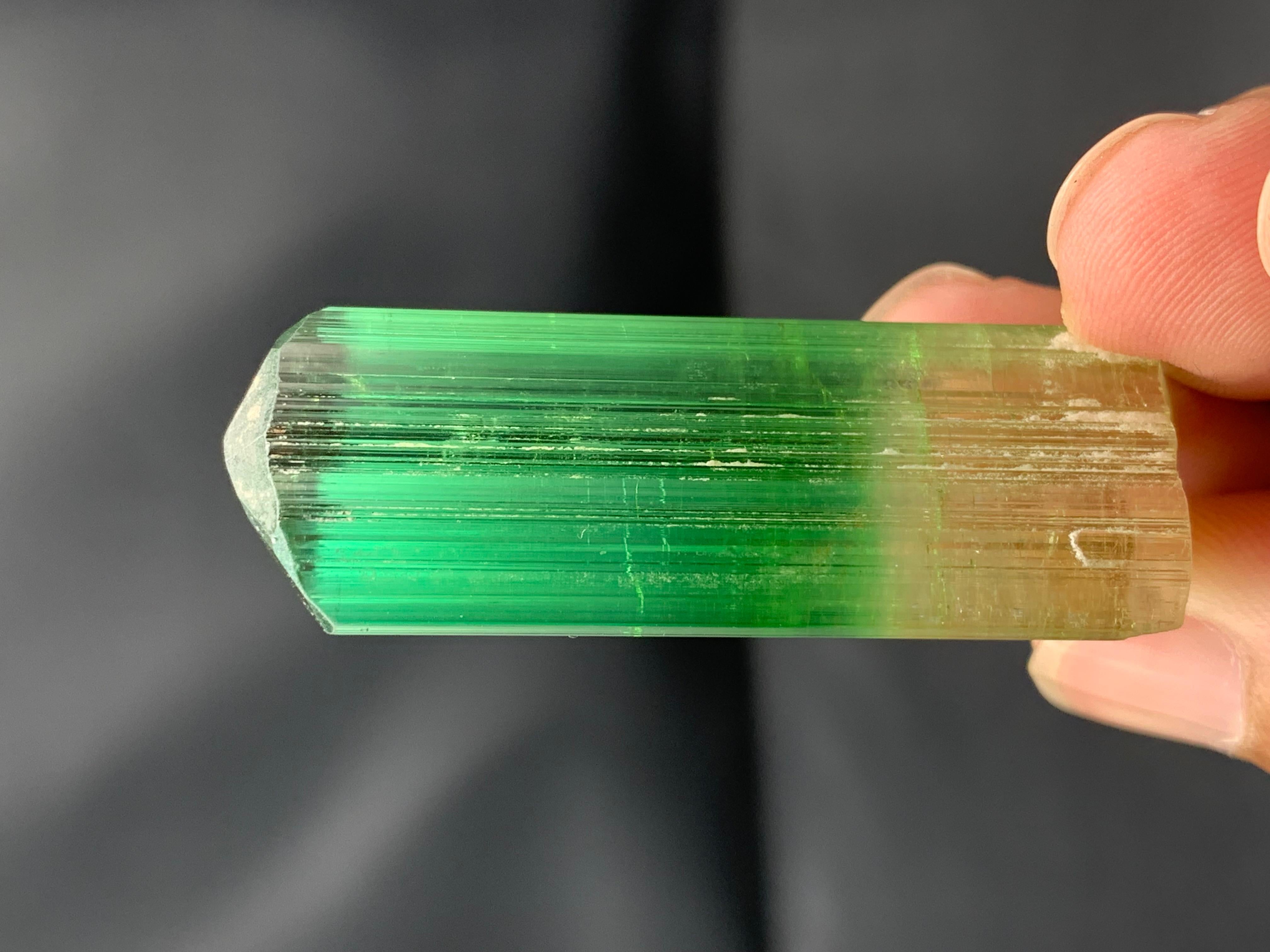Tormalina Cristallo raro di tormalina bicolore dall'Afghanistan: 20,66 grammi di lucentezza in vendita