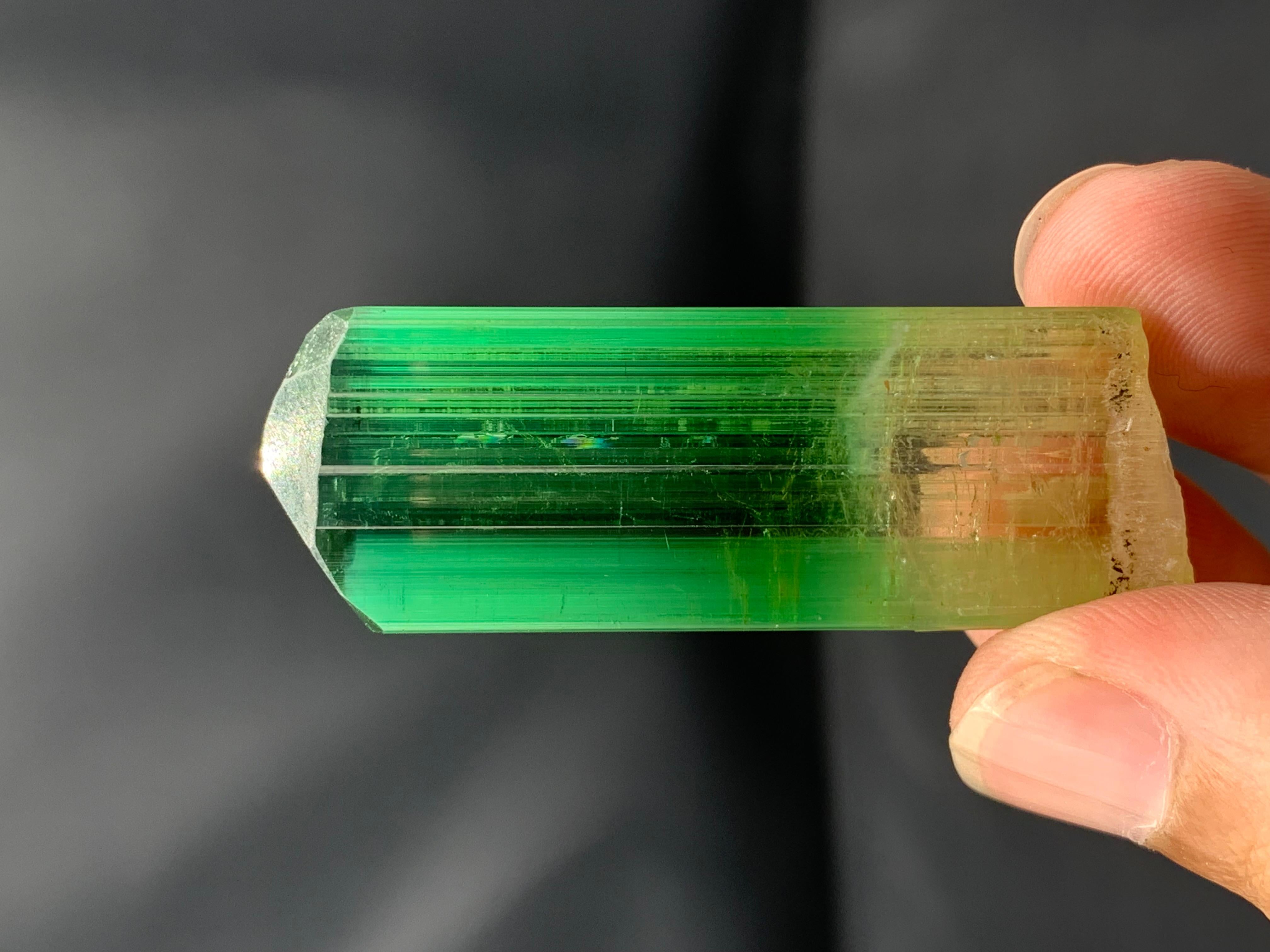 Cristallo raro di tormalina bicolore dall'Afghanistan: 20,66 grammi di lucentezza in vendita 2