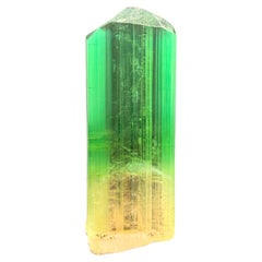 Lustrous 20.66 Gram Rare Bi Color Tourmaline Crystal from Afghanistan