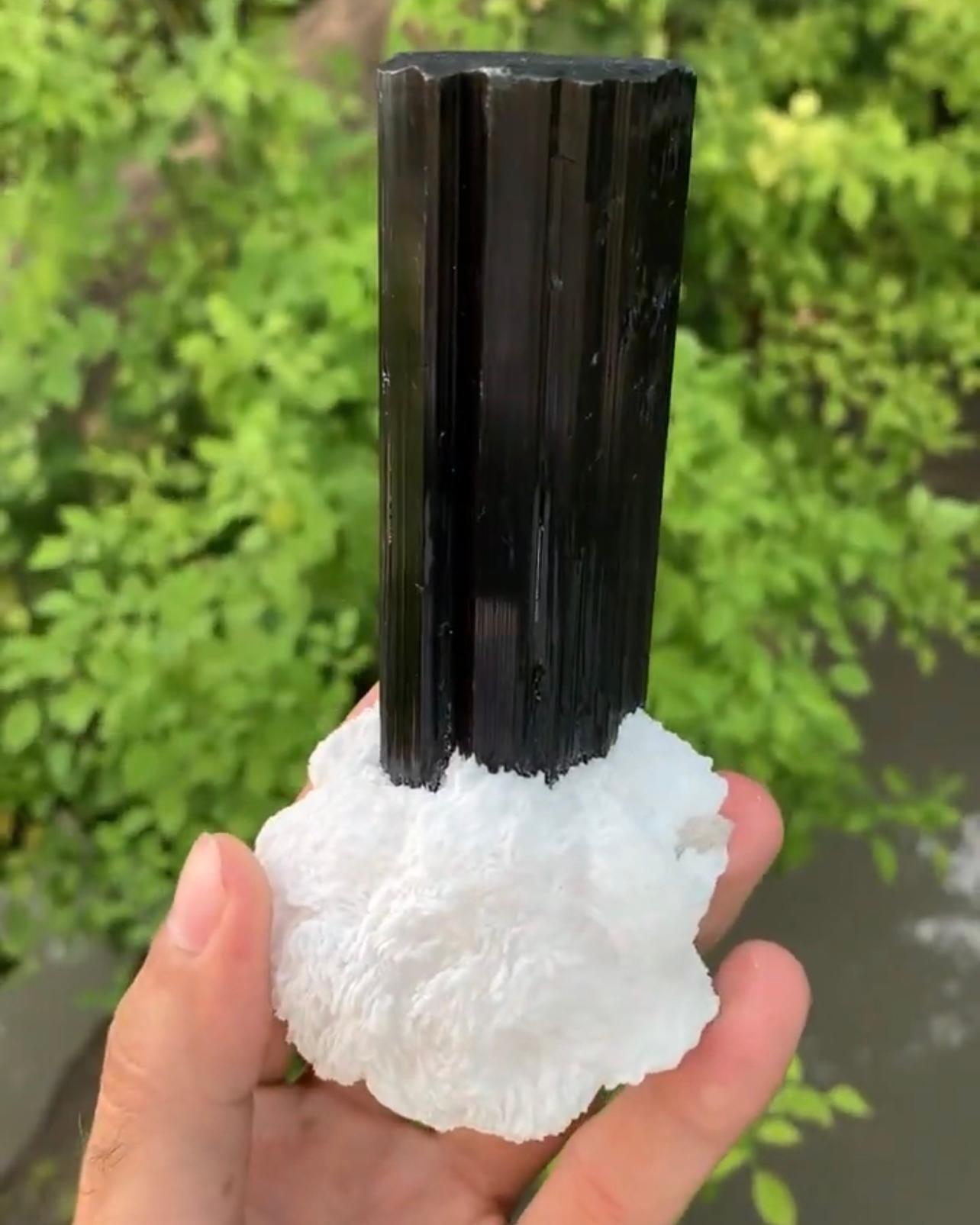 Product Information:

Specimen Name: Tourmaline crystals on Albite

Weight: 422 grams

Dimensions: H: 12.5 x W: 6.2 x D: 6 cm

Treatment: None

Origin: Skardu District, Gilgit Baltistan Province, Pakistan 

Description:

regions of Pakistan. The