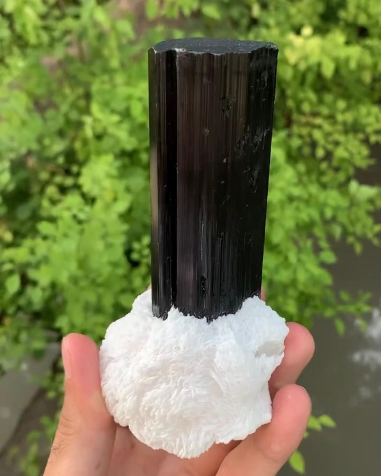 Modern Lustrous Black Tourmaline Free Standing Crystal On Albite From Pakistan For Sale
