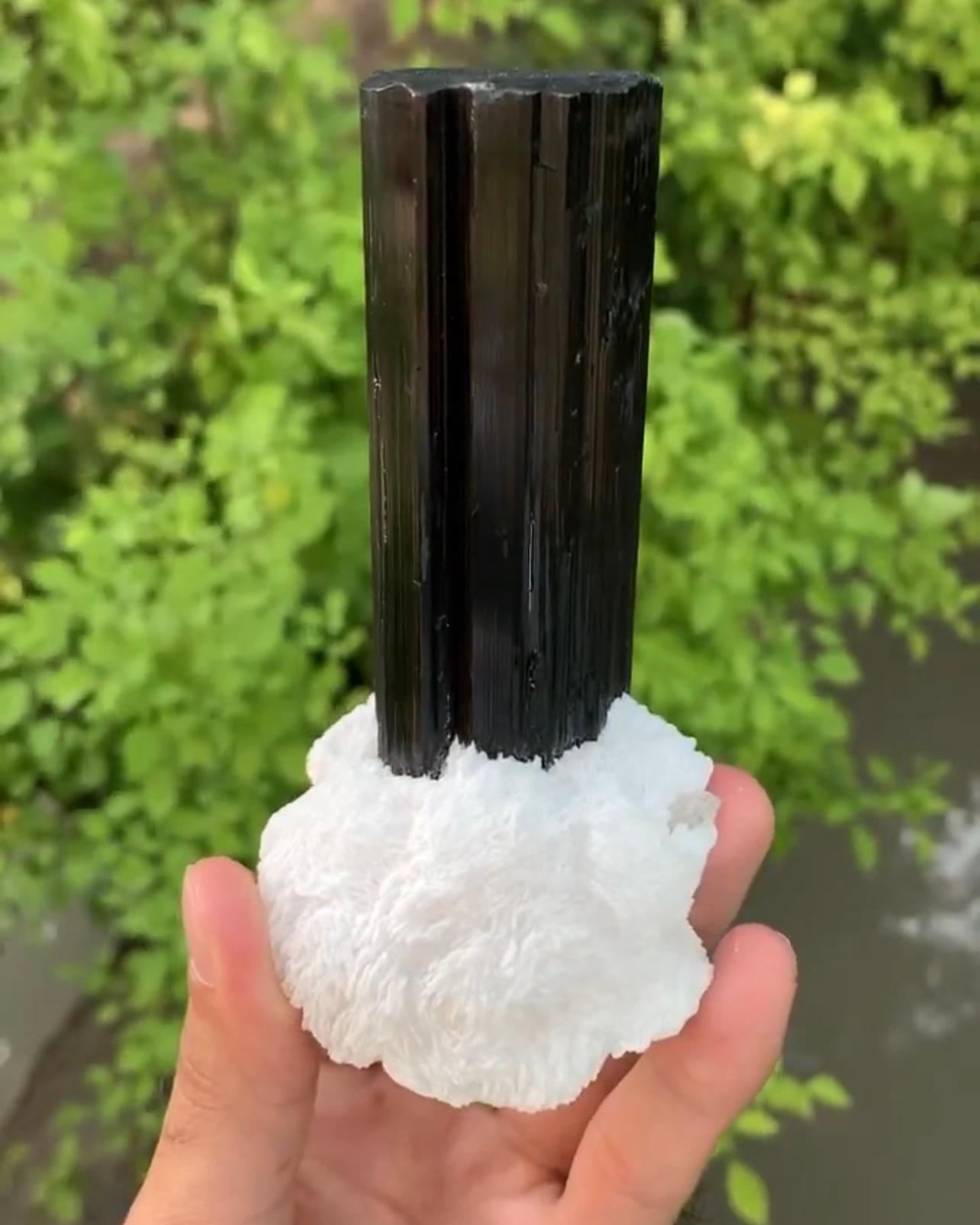 Pakistani Lustrous Black Tourmaline Free Standing Crystal On Albite From Pakistan For Sale