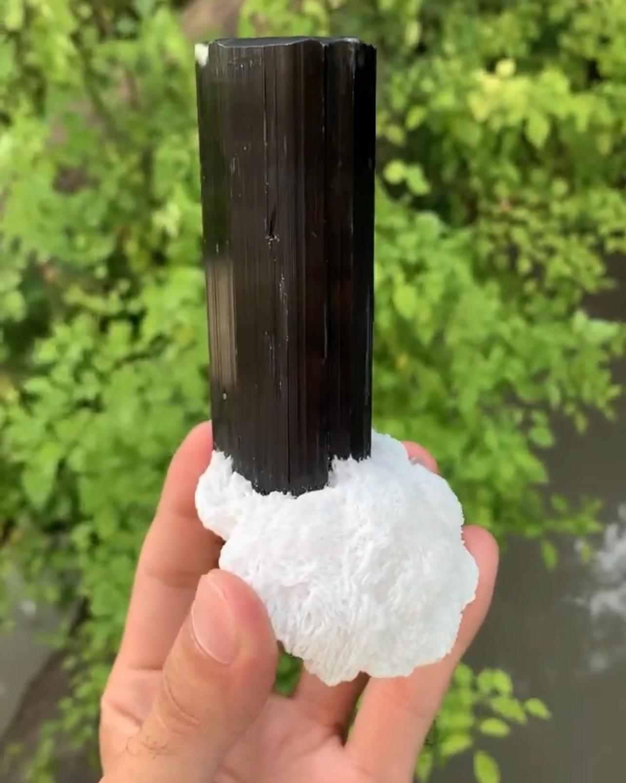 Contemporary Lustrous Black Tourmaline Free Standing Crystal On Albite From Pakistan For Sale
