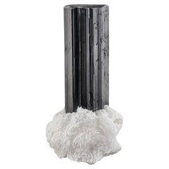 Brillante Turmalina Negra Cristal Libre Sobre Albita De Pakistán