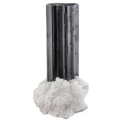 Lustrous Black Tourmaline Free Standing Crystal On Albite From Pakistan