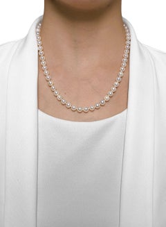 Lustrous Elliott & Carmen Akoya Pearl Necklace in 14K White Gold