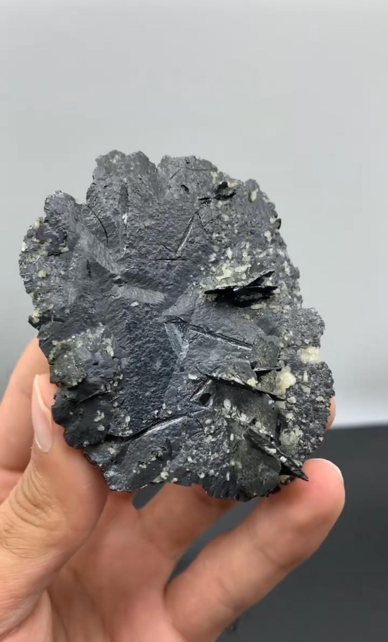 Product Information:

Specimen Type: Hematite crystal with white Albite 

Weight: 62 grams

Dimensions: H: 7.3 x W: 7.5 x D: 2.5 cm

Origin: Skardu District, Gilgit Baltistan, Pakistan 

Treatment: None

Description: 

This striking specimen