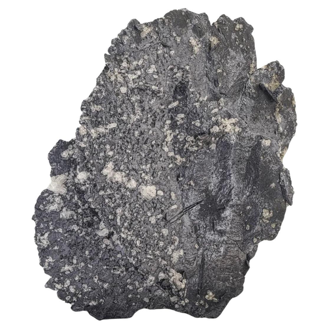 Cristallo di ematite fine e lucente con albite bianca a contrasto dal Pakistan
