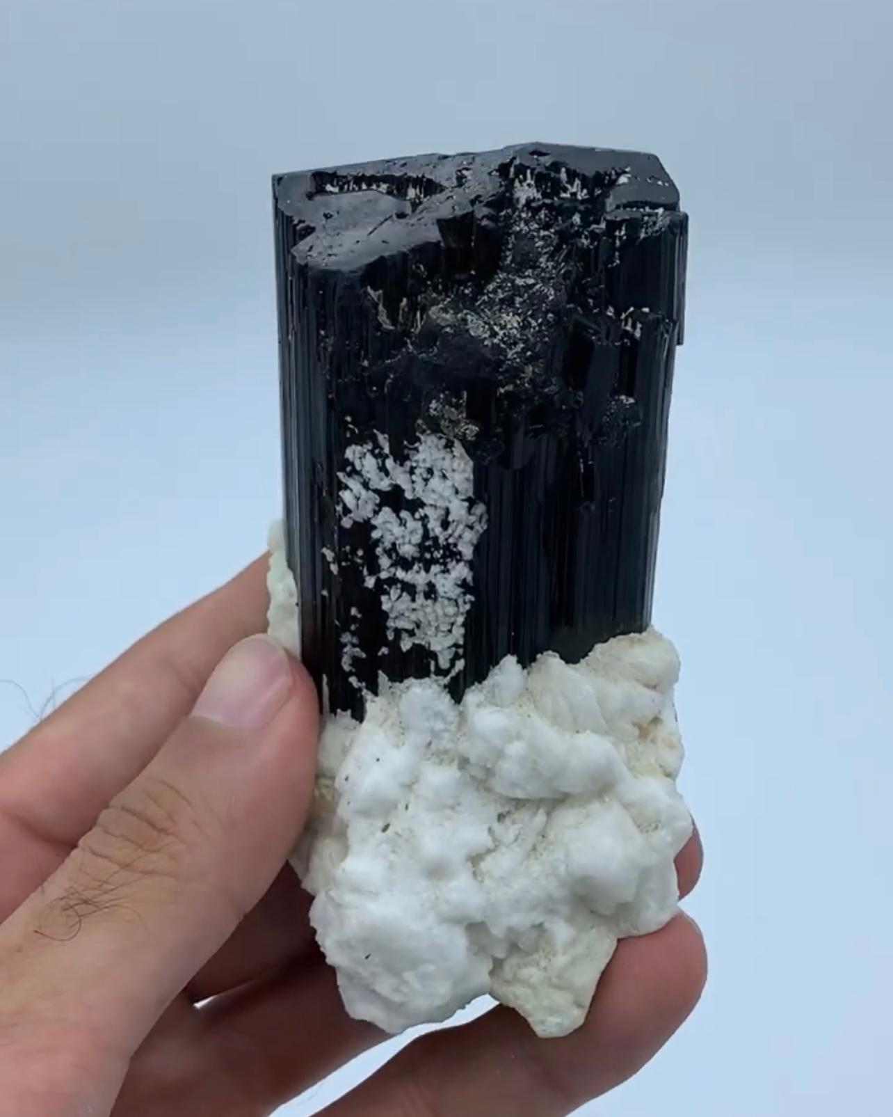 Brillante cristal de turmalina negra Schorl sobre albita blanca procedente de Afganistán Moderno en venta