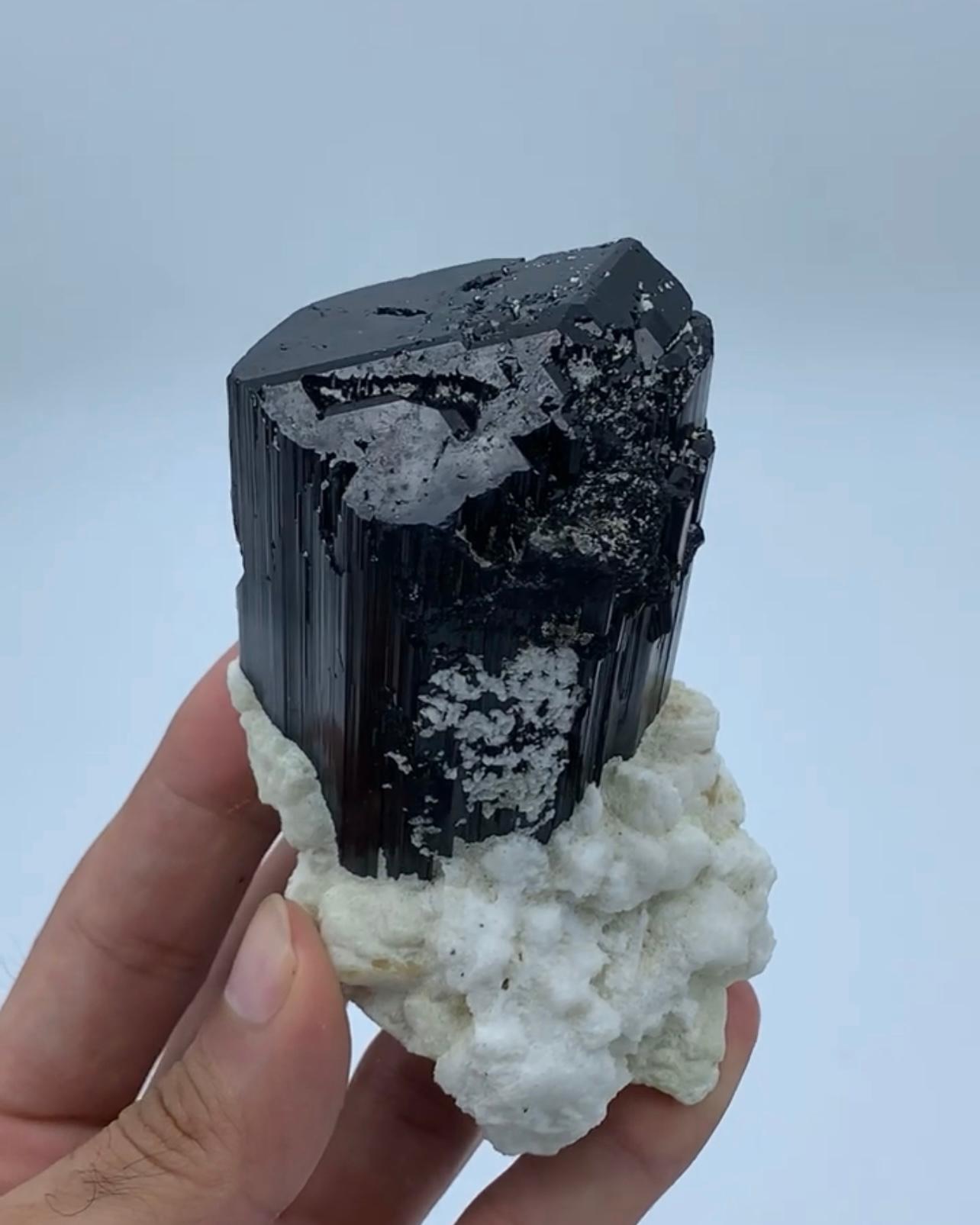 Brillante cristal de turmalina negra Schorl sobre albita blanca procedente de Afganistán Afgano en venta