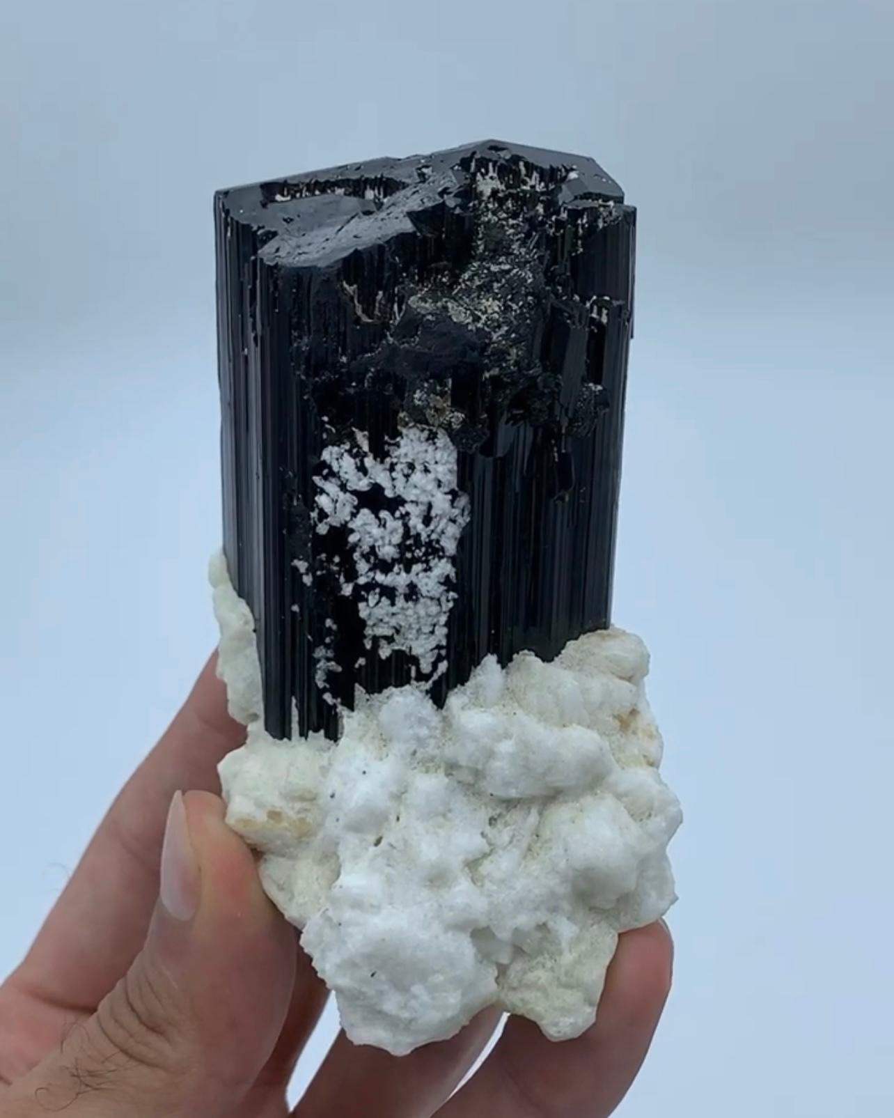 Brillante cristal de turmalina negra Schorl sobre albita blanca procedente de Afganistán Siglo XXI y contemporáneo en venta