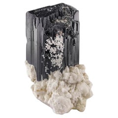Schorl lustrée tourmaline noire sur Albite blanche d'Afghanistan