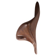 Lustrous wall light in Graphite Walnut stain on Ash by Amorph