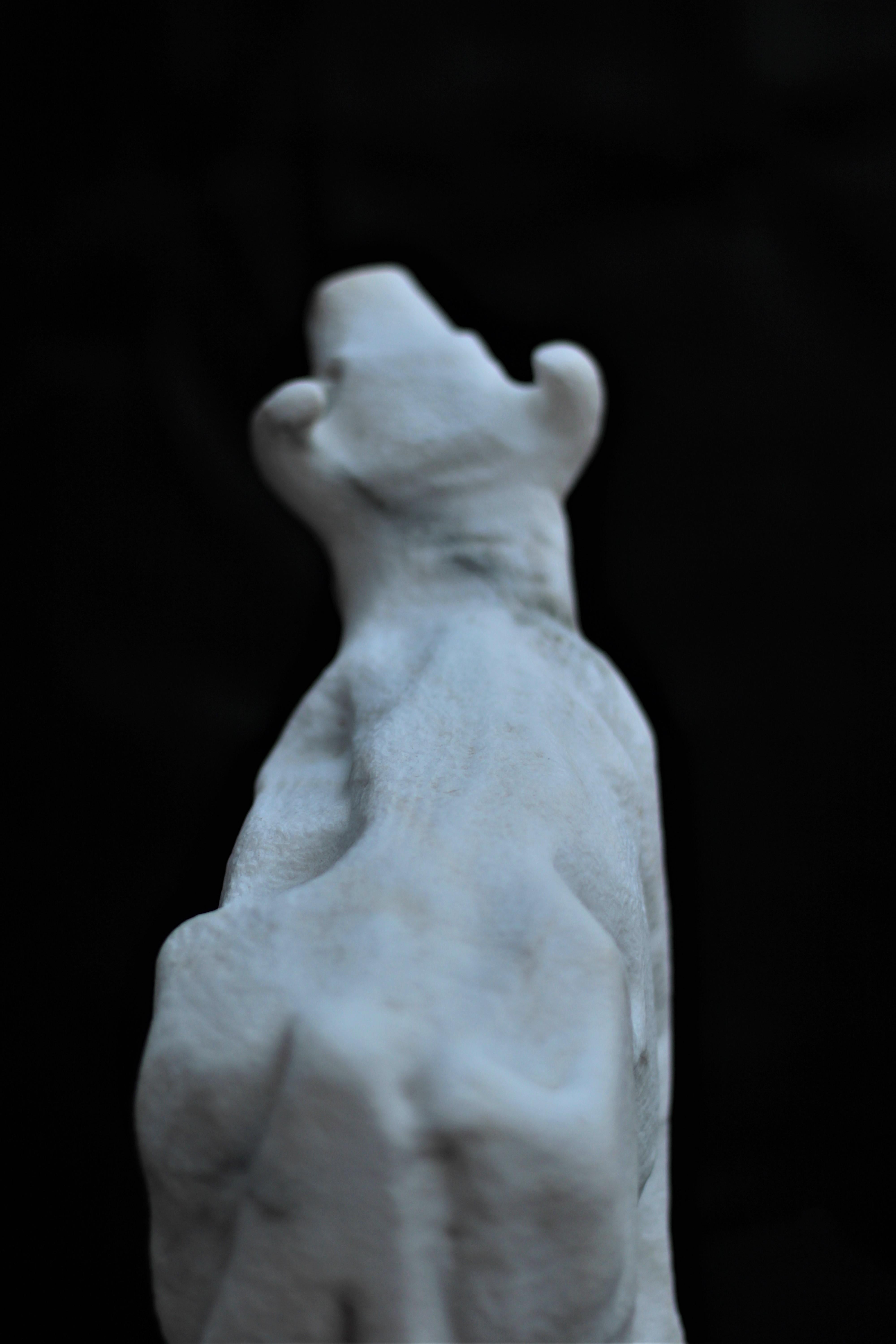 Bellowing Bull, White Carrara Marble Stone Figurative Sculpture For Sale 5