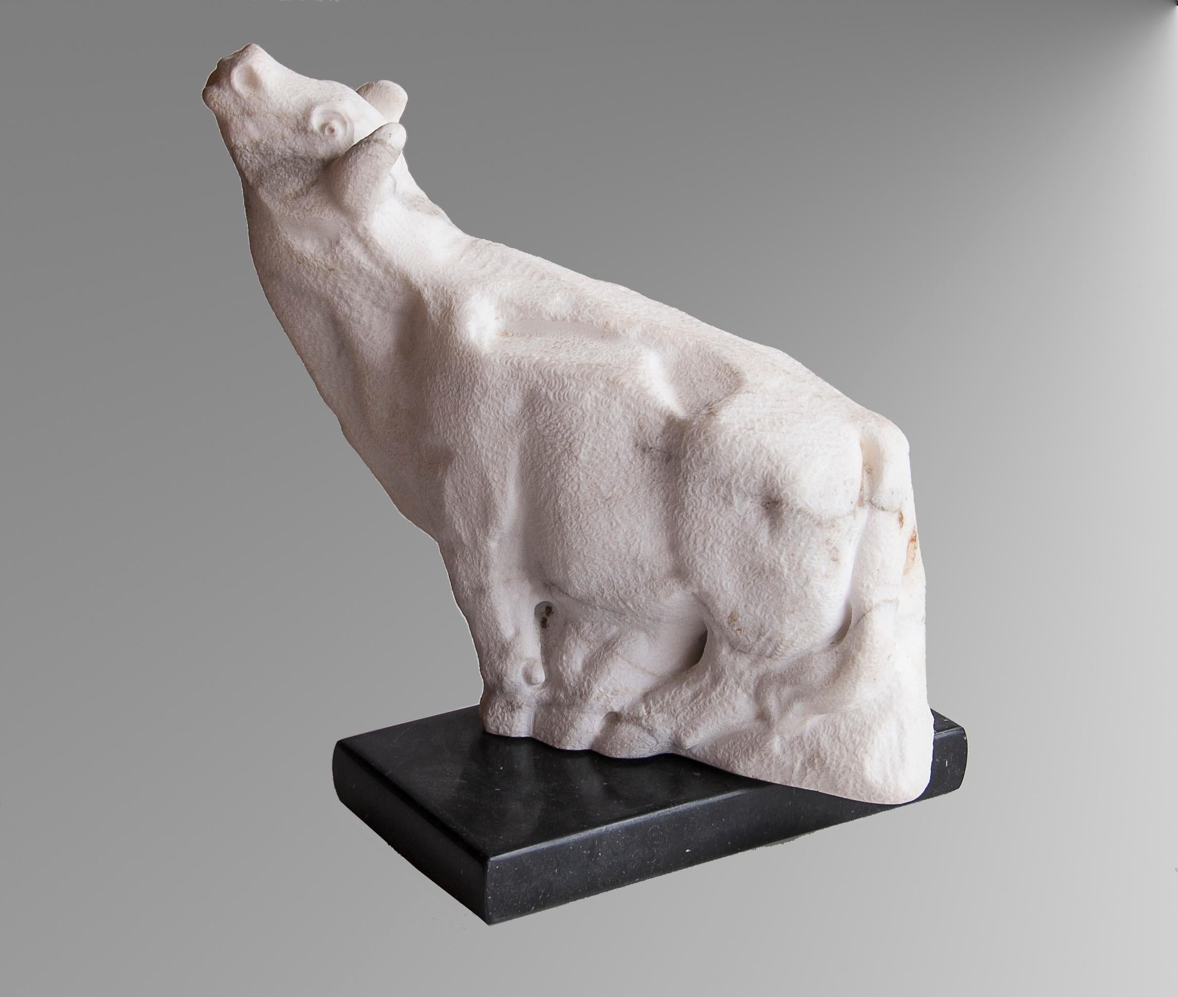 This sculpture depicts a bellowing bull, full of strength and muscular power.

This artwork was made in direct cuts, then the bull's hair were finished using a smal power tool.  It is not polished.

The separated base is made of black veined