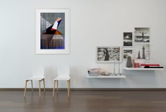 Straec #41 (Stampa astratta)