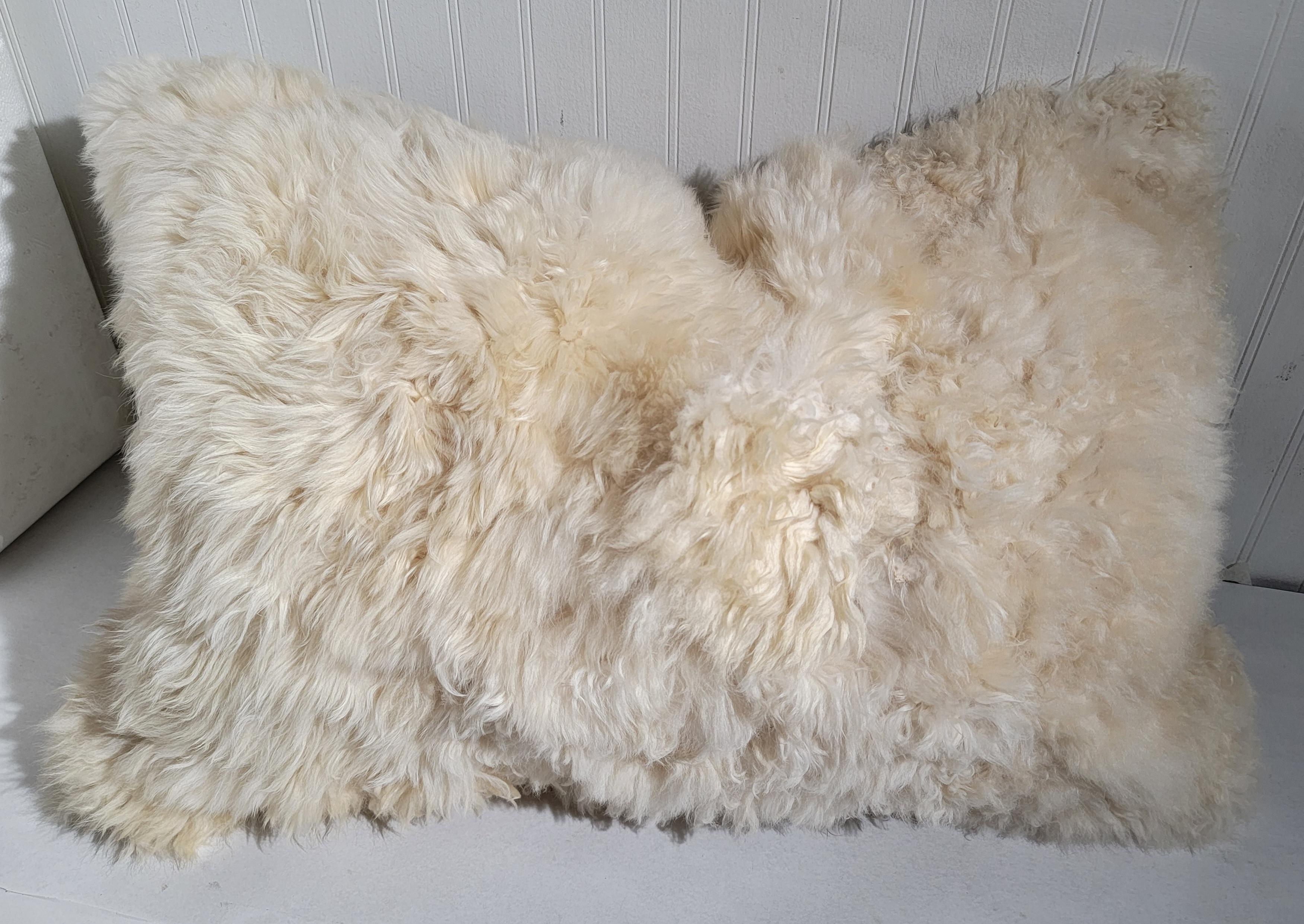 Ces oreillers en peau de mouton super doux et pelucheux sont vraiment incroyables ! Les dos sont en peau d'agneau, également très douce et confortable.

Dimensions du Bolsters - 21 x 18
la paire mesure - 22 x 22 