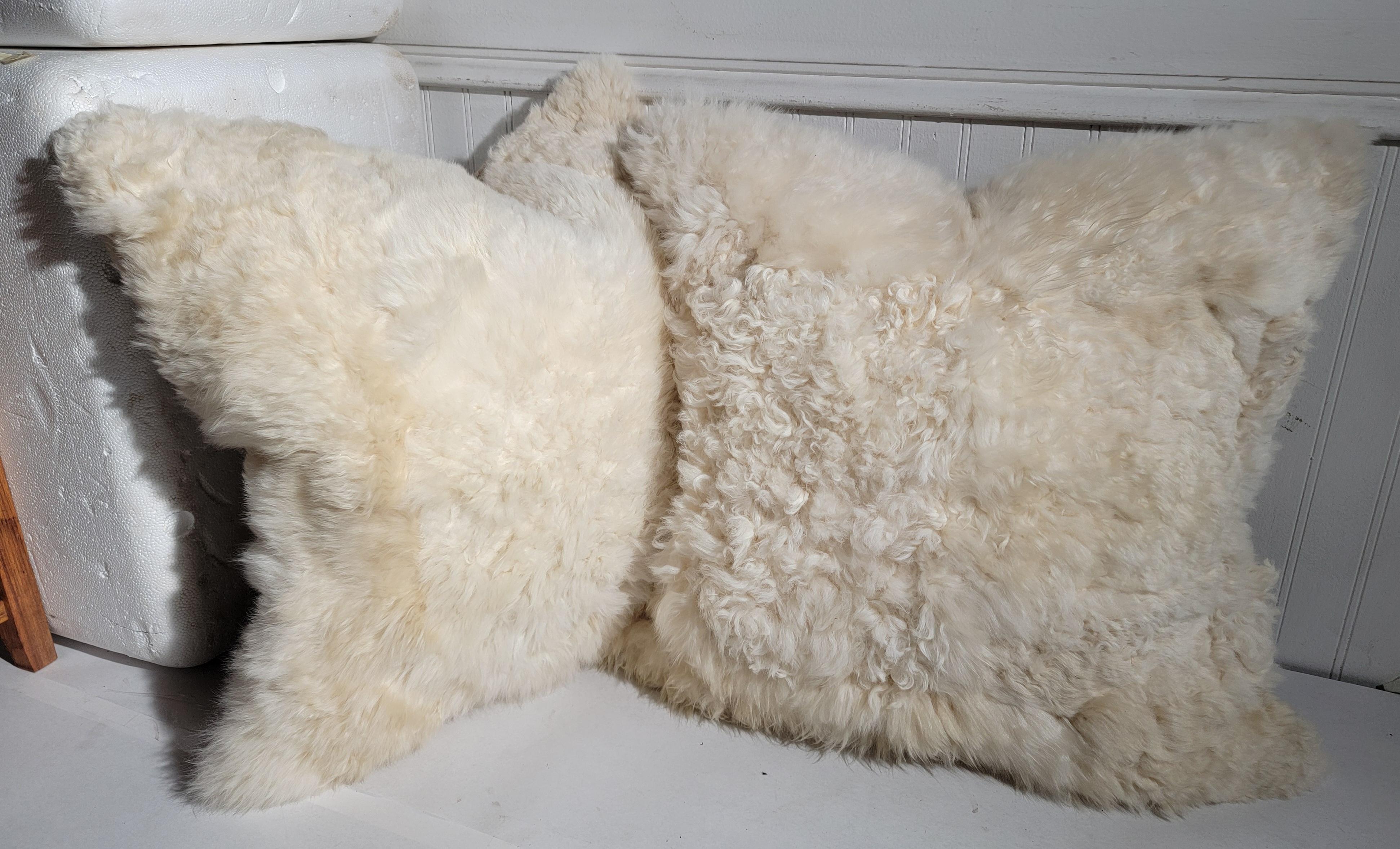 Ces oreillers en peau de mouton super doux et pelucheux sont vraiment incroyables ! Vendus à l'unité ou par paire, les dos sont en peau d'agneau, également très douce et confortable.
Le prix est fixé par paire.