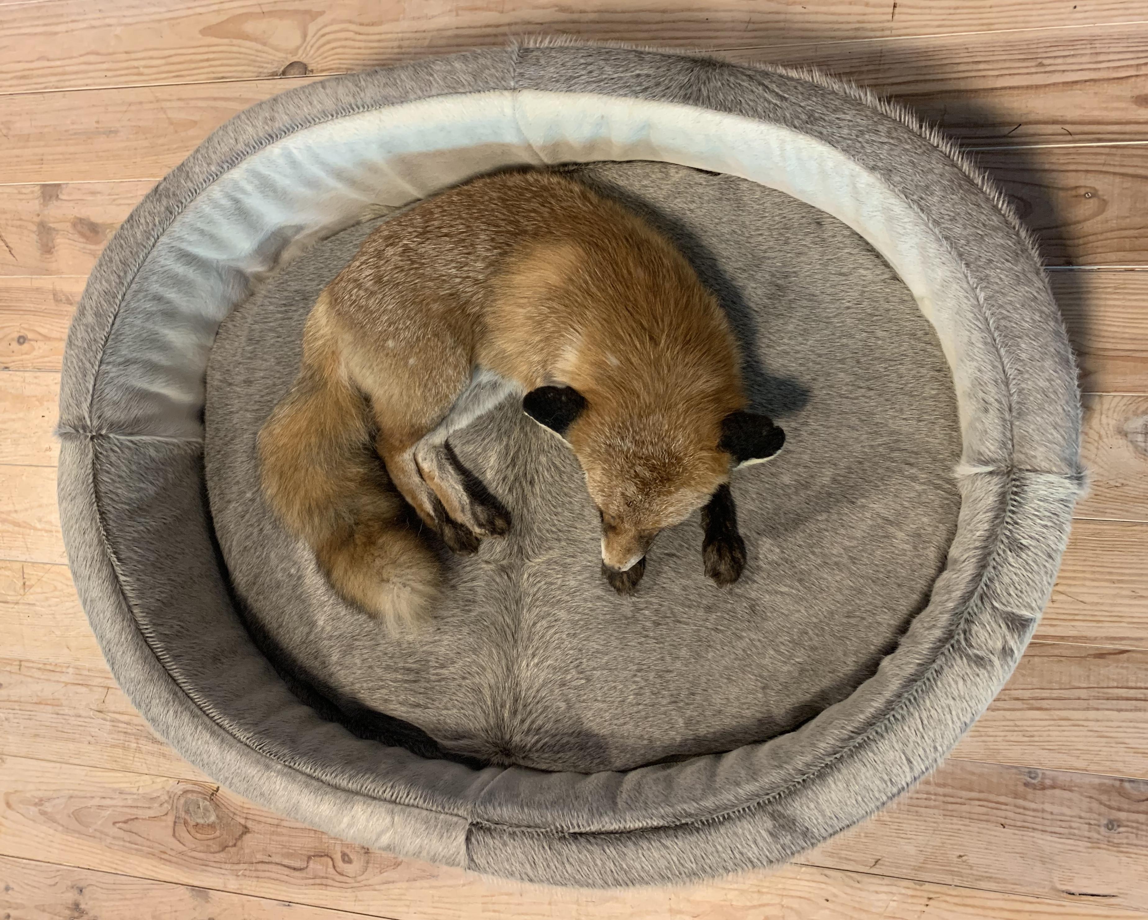 Luxurious handmade dog bed made of special gray cowhide.
The dog bed is offered without the fox.