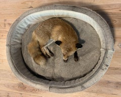 Luxurious Cowhide Dog Bed