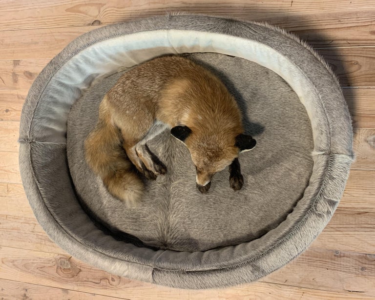 Luxurises Hundebett aus Rindsleder im Angebot bei 1stDibs Deutschland | ralph  lauren hundebett, doppelbett mit hundehhle, hundebett angebot