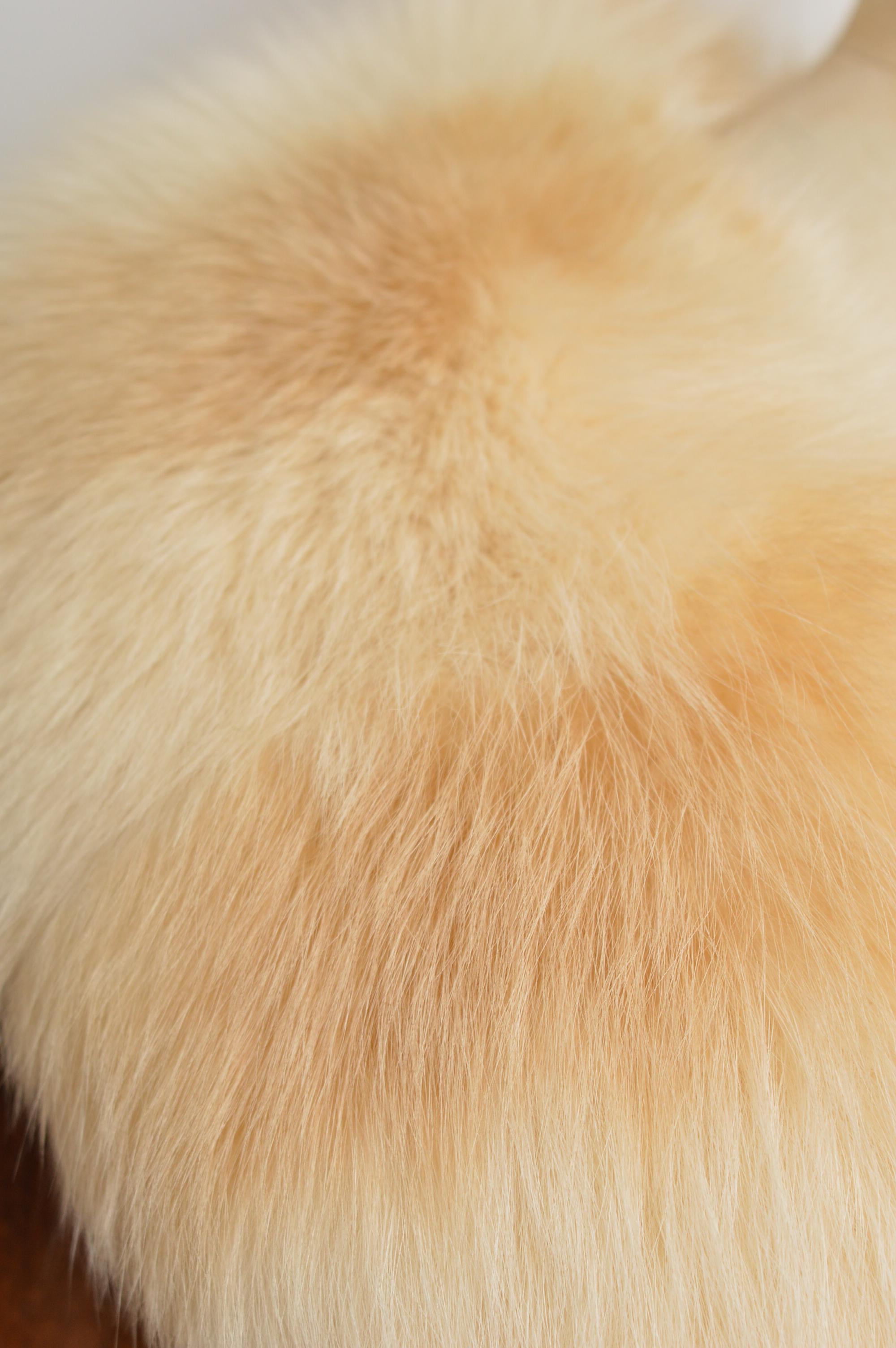 Luxueuse étole Vintage en fourrure de renard rayée blonde - Col en fourrure blanche Bon état - En vente à Sheffield, GB