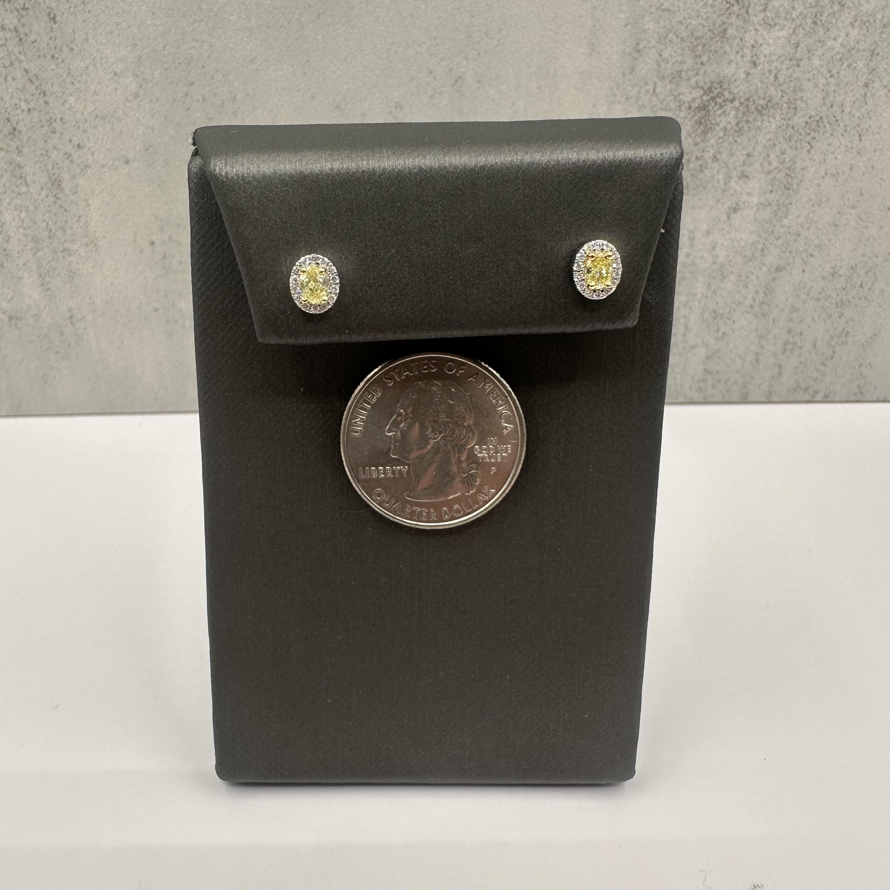 Luxuriöse gelbe Diamantohrstecker aus 14kt Weißgold - 0,52ctw, Push Backs, Neu im Zustand „Neu“ im Angebot in West Hempstead, NY