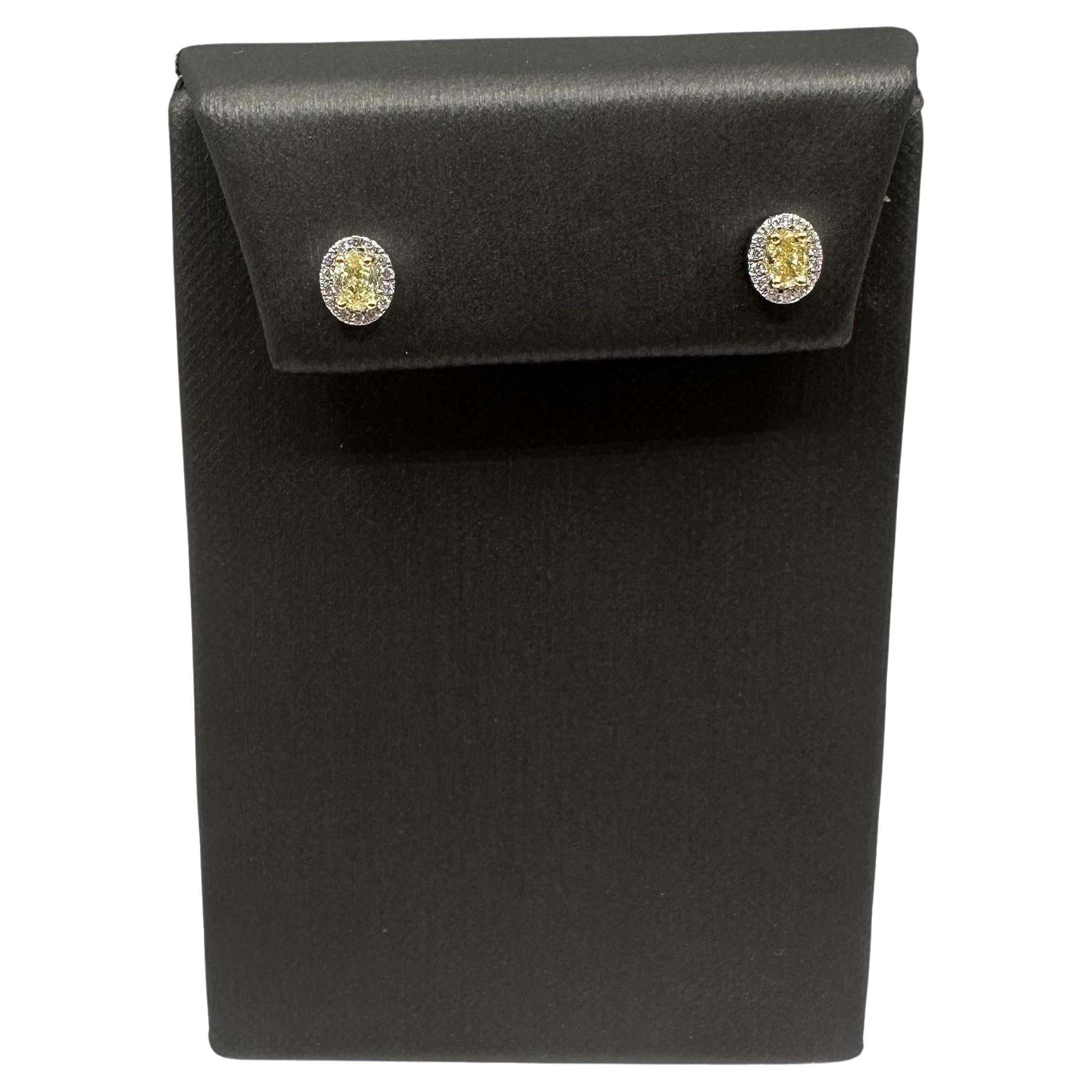 Luxuriöse gelbe Diamantohrstecker aus 14kt Weißgold - 0,52ctw, Push Backs, Neu