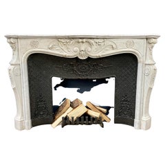 Luxury Antique French Front Shell Fireplace with Cast Iron Insert Fireplace