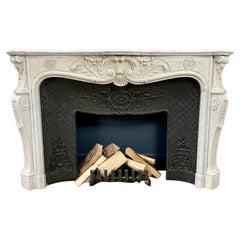 Luxury Used French Shell Fireplace with Cast Iron Insert Fireplace FREE SHIP.