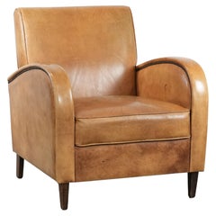 Sillón de lujo de piel de vacuno con una bonita gama de colores cálidos