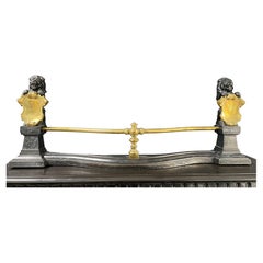 Luxury French Antique Fireplace Fender