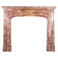 Antique Luxury Interior Design Fireplace Mantel In Rich And Colourful Marble
