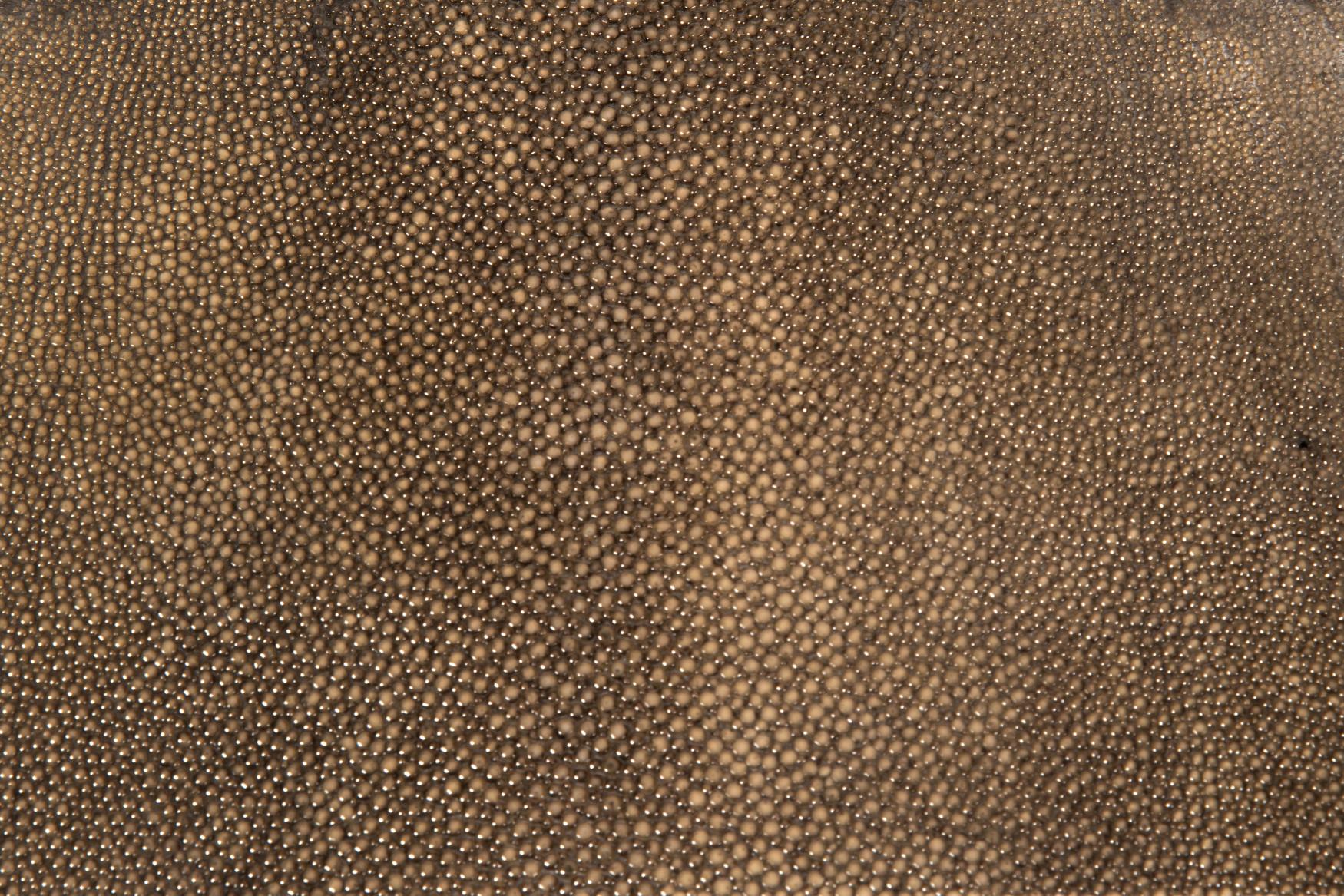 Maniglia di lusso, varie finiture in metallo e pelle Forma classica in nichel in vendita 9
