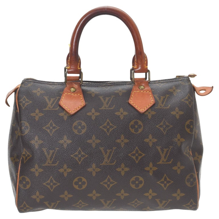 LV Speedy 25 at 1stDibs