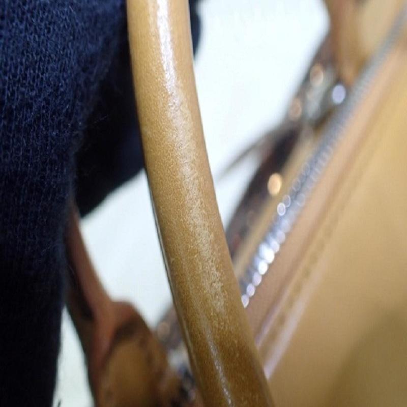 LV Sunshine Express Speedy 1