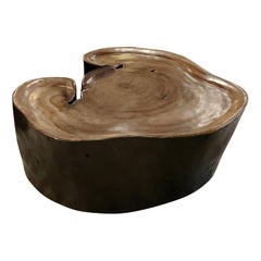 Lychee Wood Freeform Shape Coffee Table, Indonesia, Contemporary