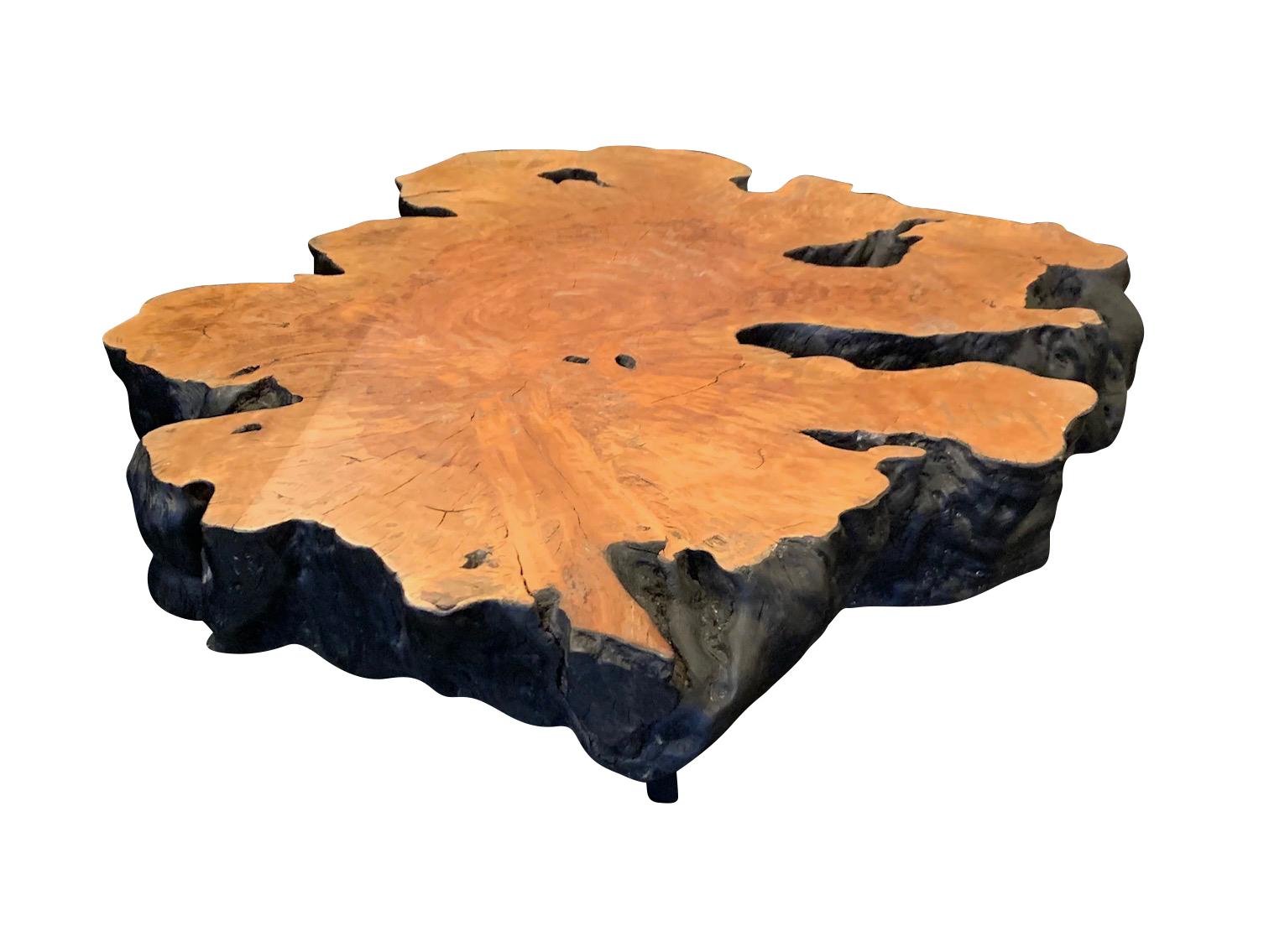 Contemporary Indonesian free form shaped lychee wood coffee table.
Burled brown finish top and ebonized apron and base.
Four tapered cylinder legs.