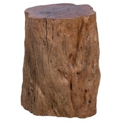 Vintage Lychee Wood Organic Form Side Table