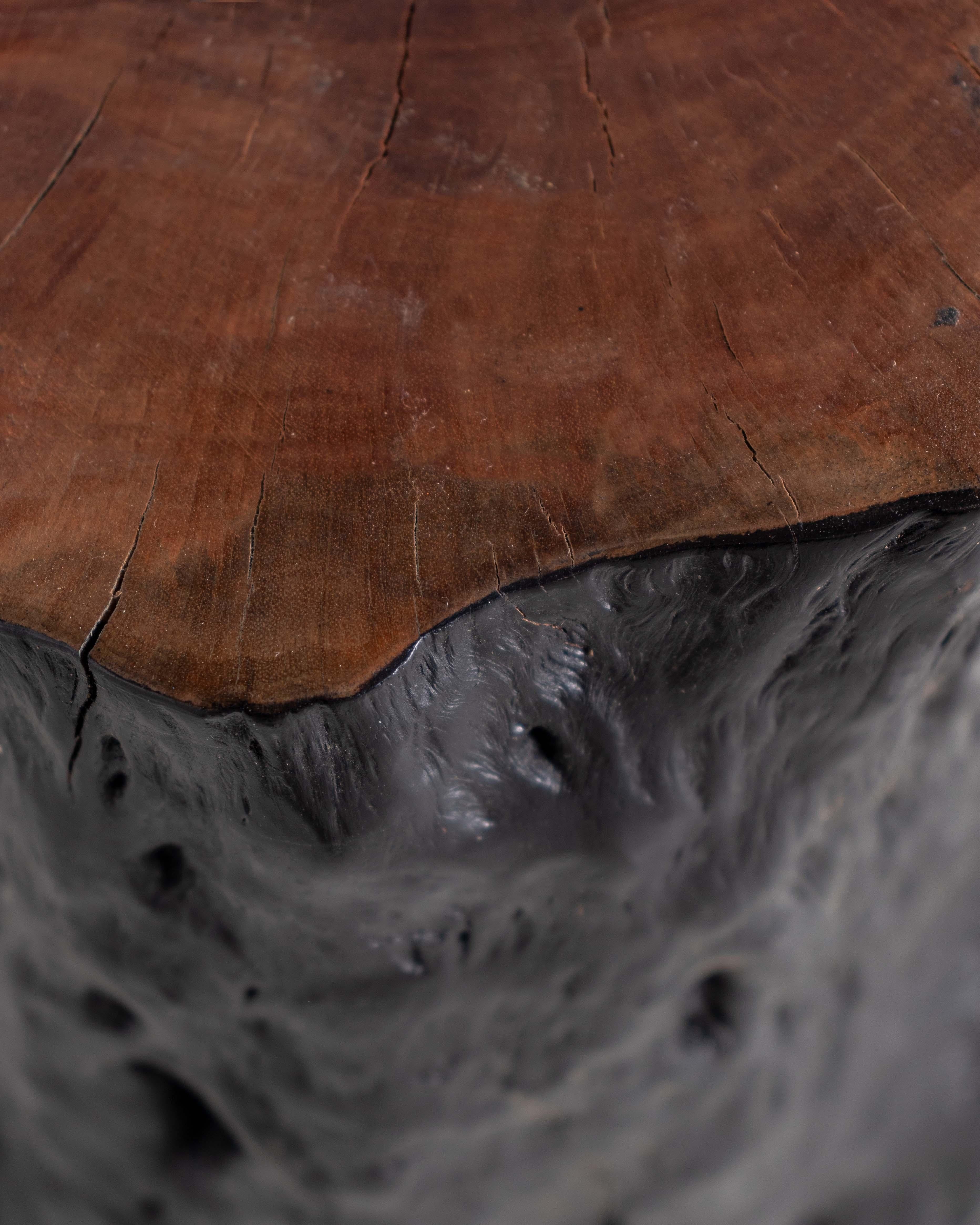 Other Lychee Wood Stump End Table