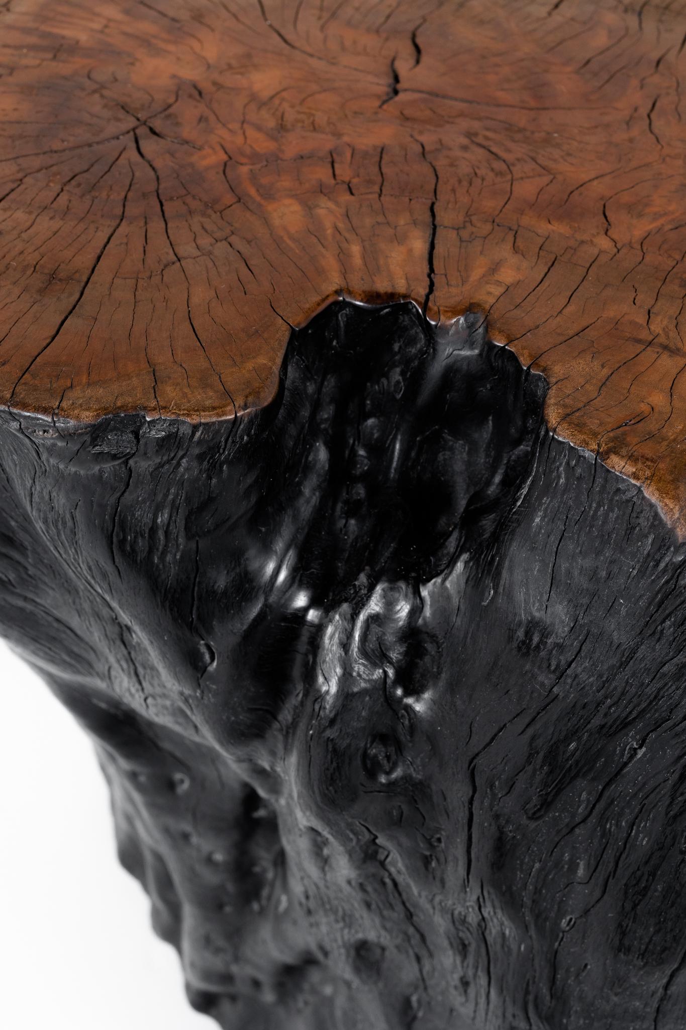 Organic Modern Lychee Wood Stump End Table For Sale