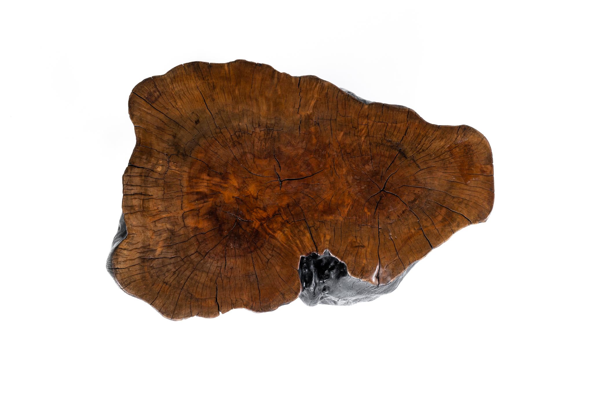 Lychee Wood Stump End Table In Good Condition For Sale In Dallas, TX