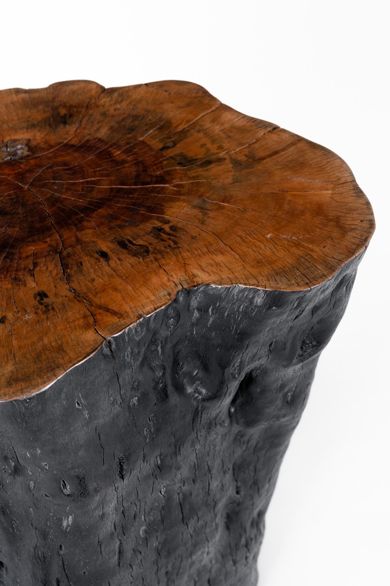 Contemporary Lychee Wood Stump End Table