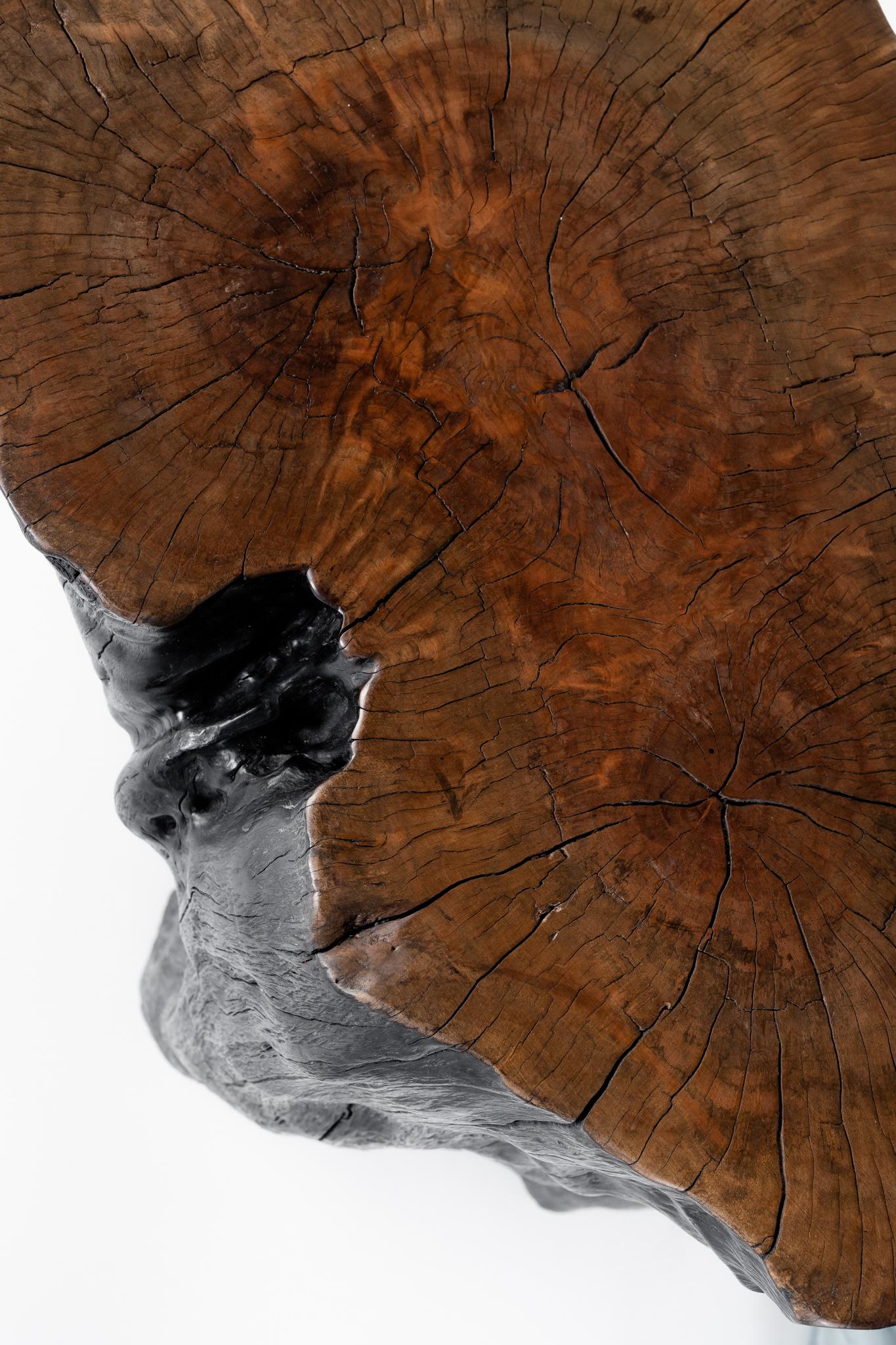 Contemporary Lychee Wood Stump End Table For Sale